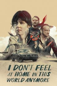 I Don’t Feel at Home in This World Anymore (2017), film online subtitrat in Romana