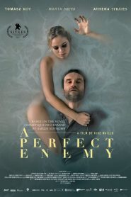 A Perfect Enemy (2021), film online subtitrat în Română