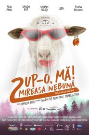 Pup-o, mă! 2: Mireasa nebună (2021), film online în limba Română