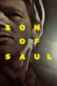 Son of Saul – Fiul lui Saul (2015), film online subtitrat în Română