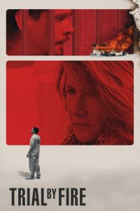 Trial by Fire (2019), film online subtitrat în Română