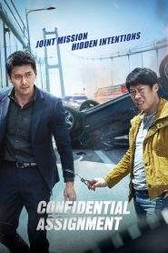 Confidential Assignment (2017), film online subtitrat în Română