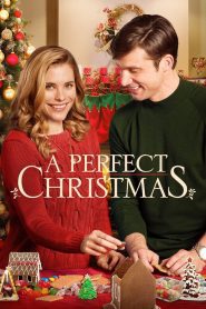 A Perfect Christmas (2016), film online subtitrat în Română