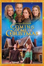 Coming Home for Christmas (2014), film online subtitrat în Română