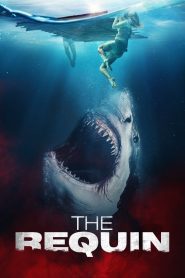 The Requin (2022), film online subtitrat în Română