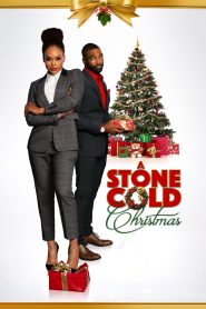 A Stone Cold Christmas (2018), film online subtitrat în Română