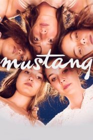 Mustang (2015), film online subtitrat în Romana