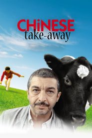 Chinese Take-Away (2011), film online subtitrat în Română