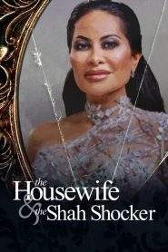 The Housewife & the Shah Shocker (2021), film online subtitrat în Română