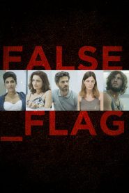 False Flag (2015), serial online subtitrat în Română