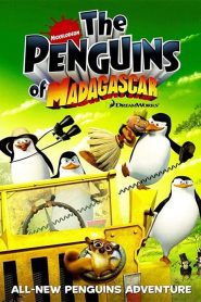 Pinguinii din Madagascar (2009), film online DUBLAT