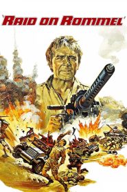 Raid on Rommel (1971), film online