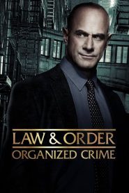 Law & Order: Organized Crime (2021), serial online subtitrat în Română