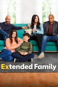 Extended Family (2023), serial online subtitrat în Română