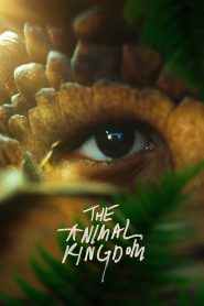 The Animal Kingdom (2023), film online