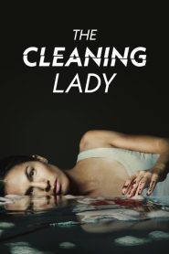 The Cleaning Lady (2022), serial online