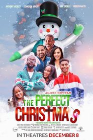 The Perfect Christmas (2023), film online