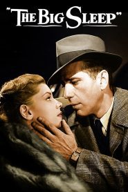 The Big Sleep (1946), film online