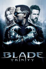 Blade, vânătorul de vampiri: Trinity (2004), film online subtitrat în Română