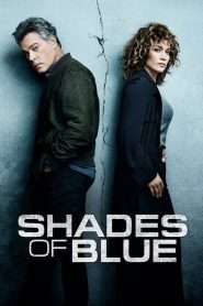 Shades of Blue (2016), serial online subtitrat în Română