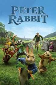 Peter Rabbit – Peter Iepurasul (2018), film animat online DUBLAT în Română