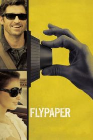 Flypaper (2011), film online