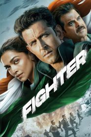 Fighter (2024), film online