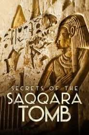 Secretele mormântului din Saqqara (2020), film online