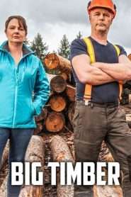 Big Timber: Viață de cherestegiu (2020), serial Reality TV online