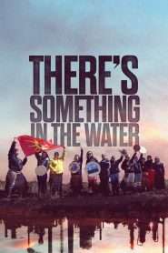 There’s Something in the Water (2019), film Documentar online