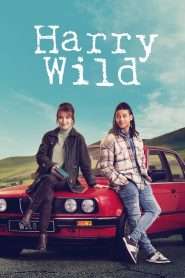 Harry Wild (2022), serial online