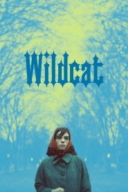 Wildcat (2024), film online