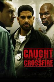 Caught in the Crossfire (2010), film online