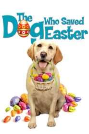 The Dog Who Saved Easter (2014), film online