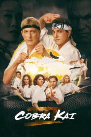 Cobra Kai (2018), serial online