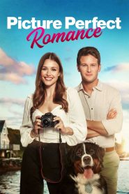 Picture Perfect Romance (2022), film online