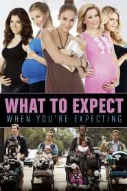 What to Expect When You’re Expecting (2012), film online