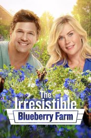 The Irresistible Blueberry Farm (2016), film online