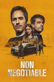 Non Negotiable (2024), film online