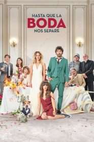 The Wedding Unplanner (2020), film online