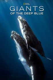 Giants of the Deep Blue (2017), film online