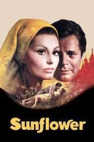 Sunflower (1970), film online