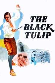 The Black Tulip (1964), film online