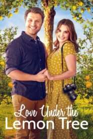 Love Under the Lemon Tree (2022), film online