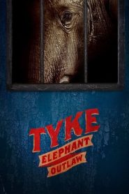 Tyke Elephant Outlaw (2015), film online