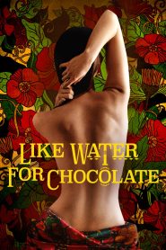 Like Water for Chocolate (1992), film online