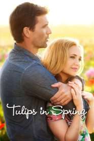 Tulips in Spring (2016), film online subtitrat