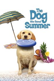 The Dog Who Saved Summer (2015), film online