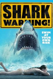 Shark Warning (2024), film online