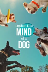 Inside the Mind of a Dog (2024), film online